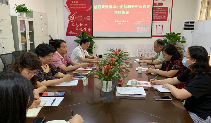 湖北省中小企业服务中心莅临协会指导交流工作
